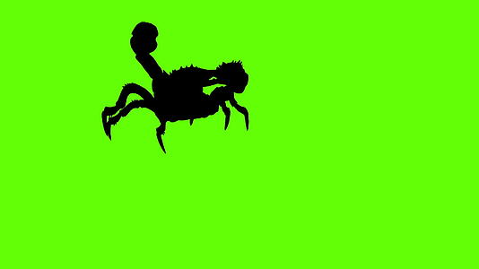 3d将森林蝎子的动画轮挡在绿色屏幕上以攻击性的姿态隔离视频的预览图