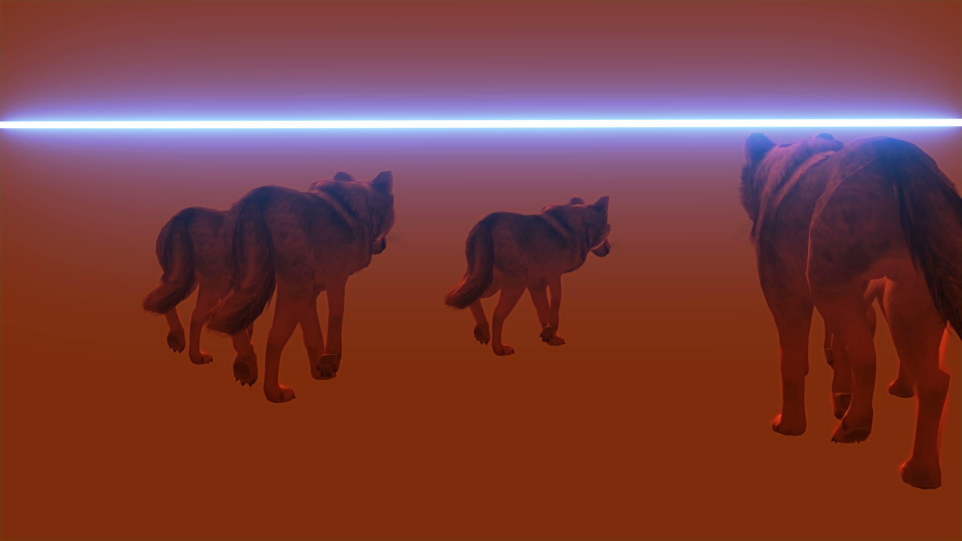 狼散步扫描3D动画视频的预览图