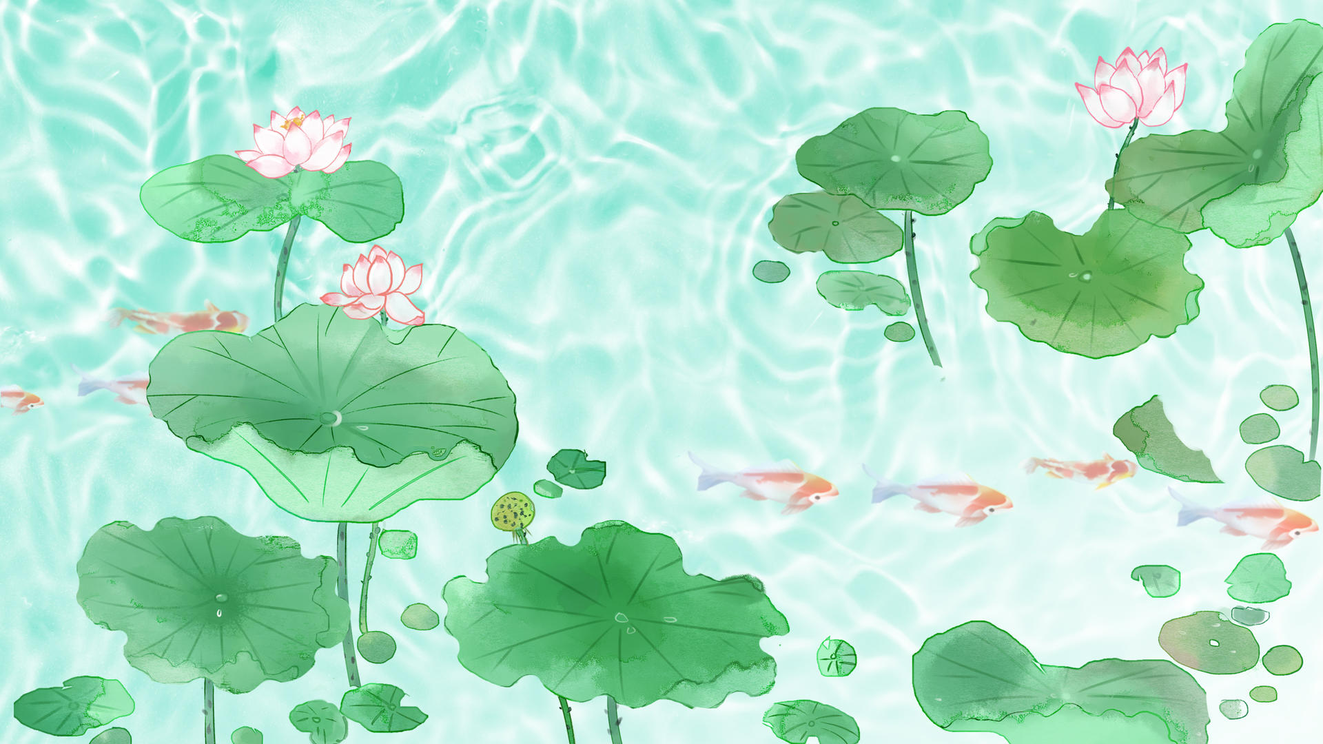 4K24节气小暑荷花夏日唯美水纹动态背景视频视频视频的预览图