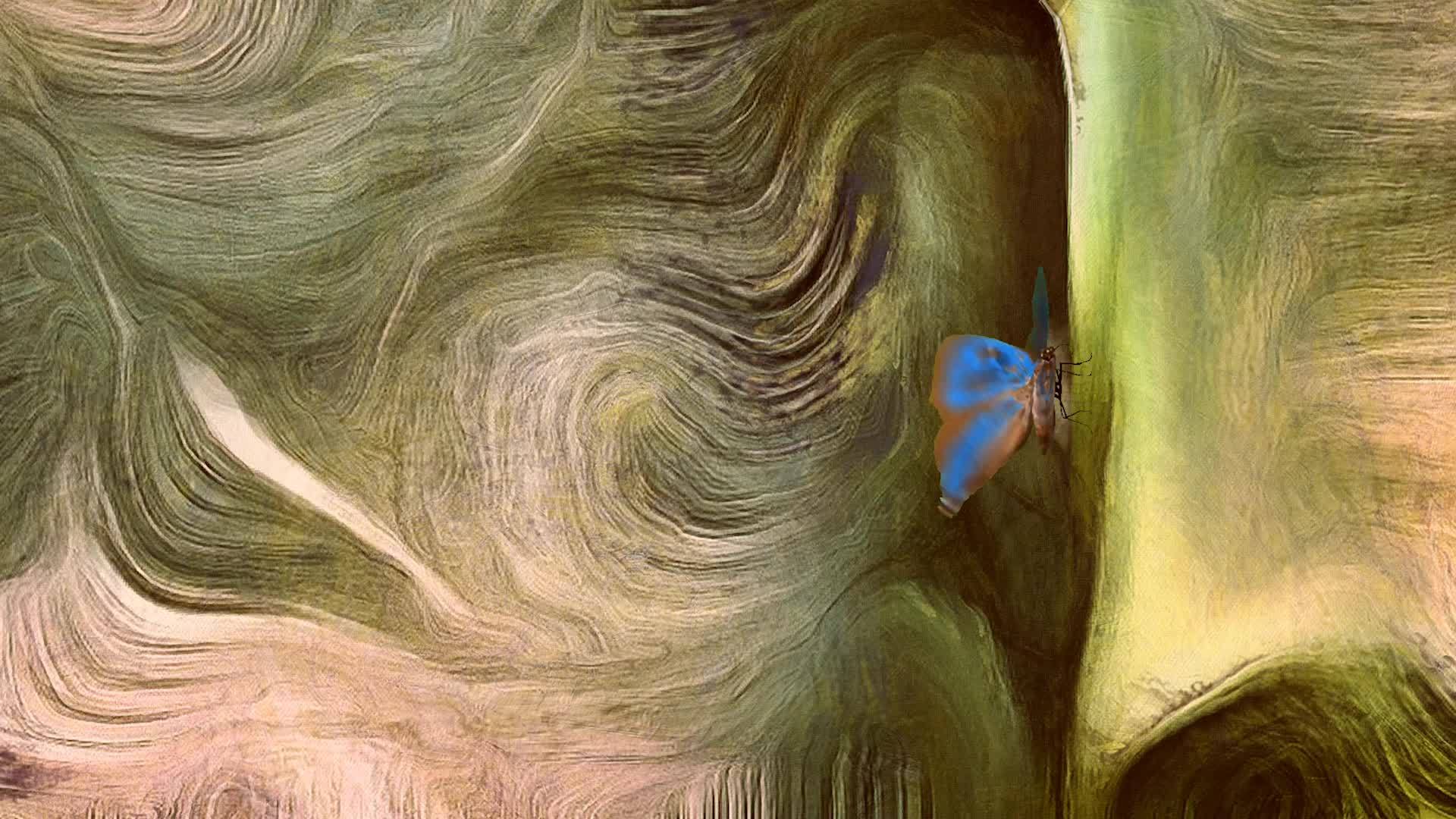 蝴蝶和油画色彩运动流体视频的预览图