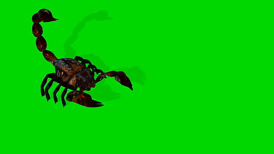 蝎子动画在绿屏上视频的预览图