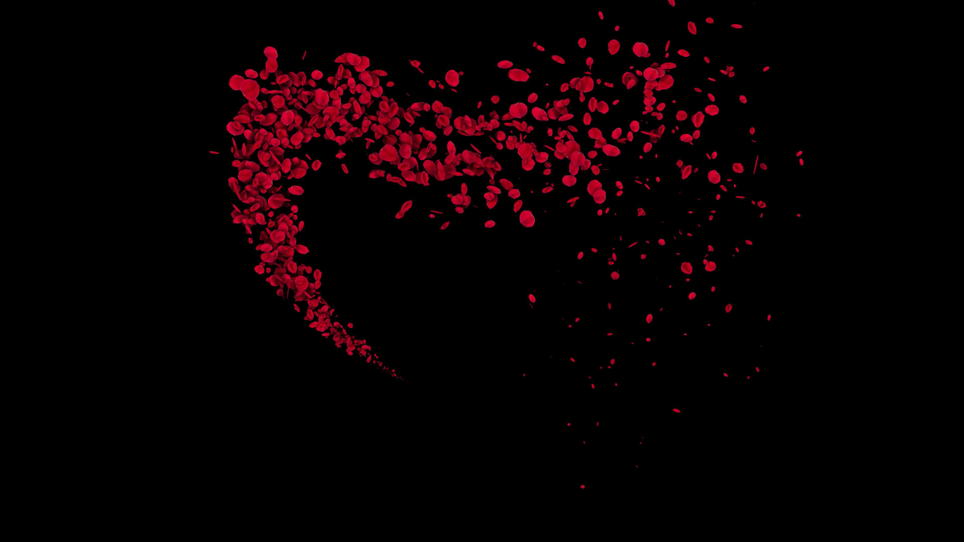 4K粒子花瓣转场动画元素带通道视频的预览图