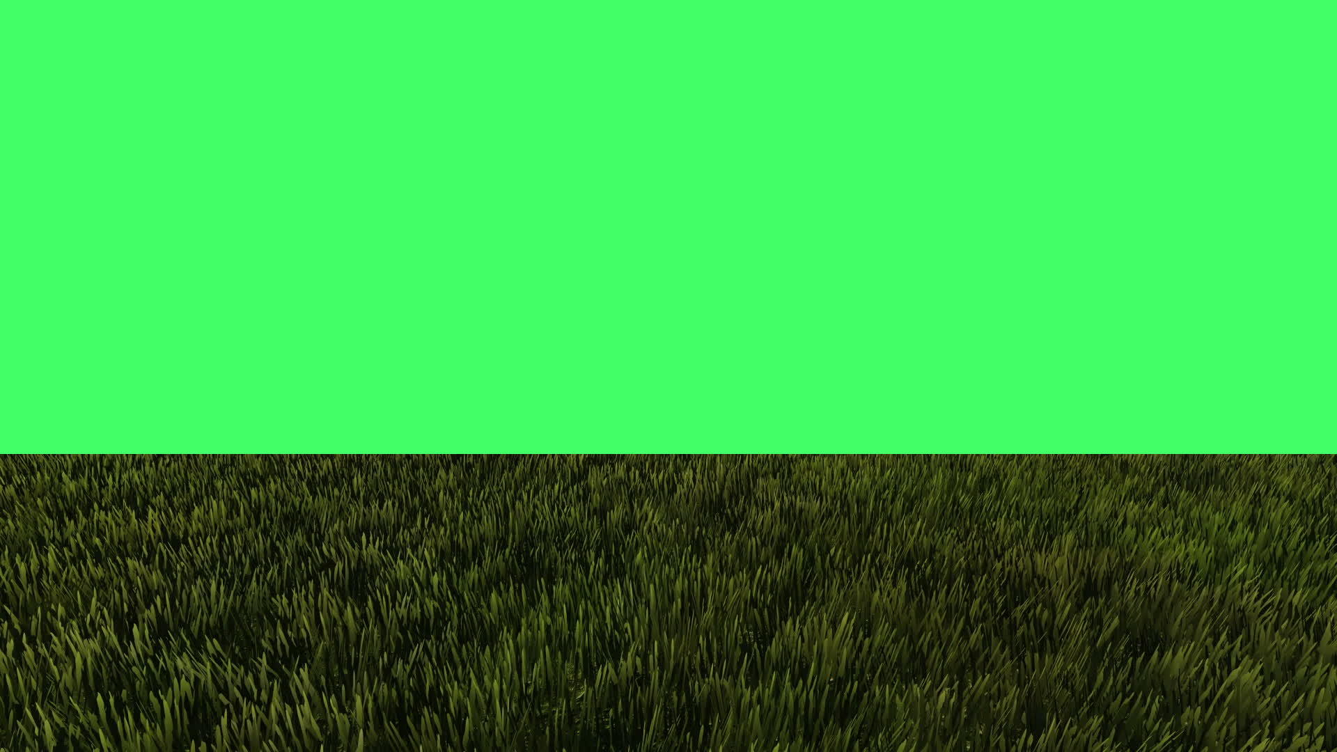绿色背景屏幕上的绿色动画视频的预览图