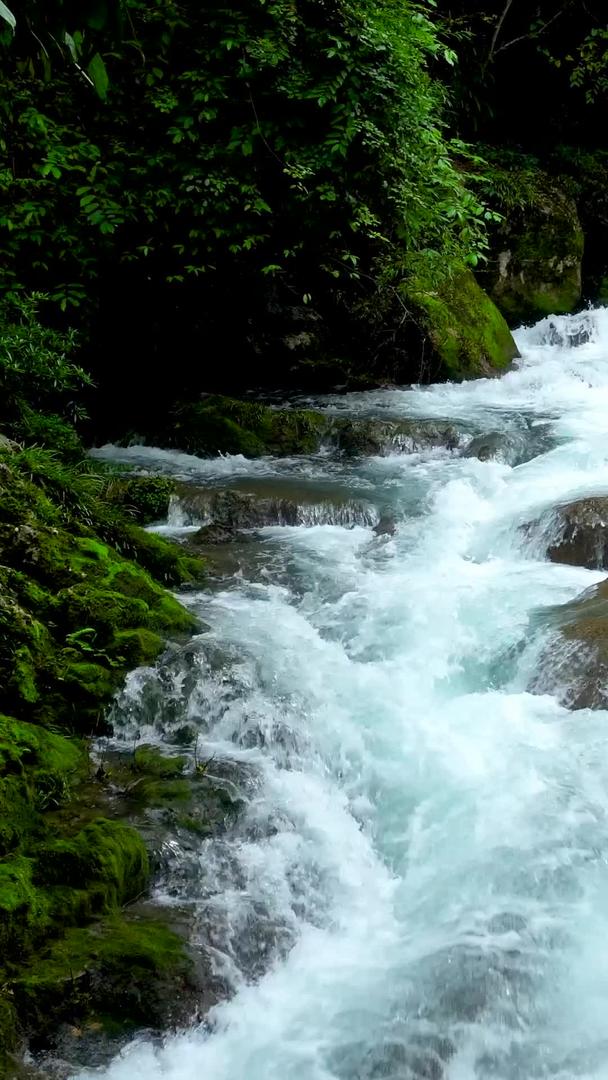 贵州山涧溪流瀑布视频的预览图