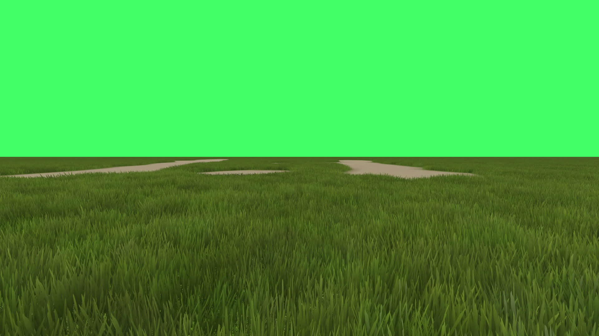 绿色背景屏幕上的绿色动画视频的预览图