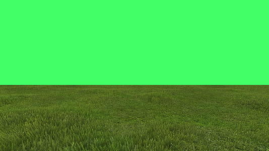 绿地绿幕动画视频的预览图