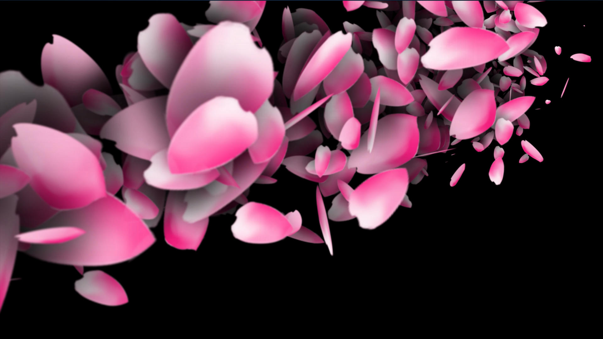 4K粒子花瓣转场动画元素视频的预览图