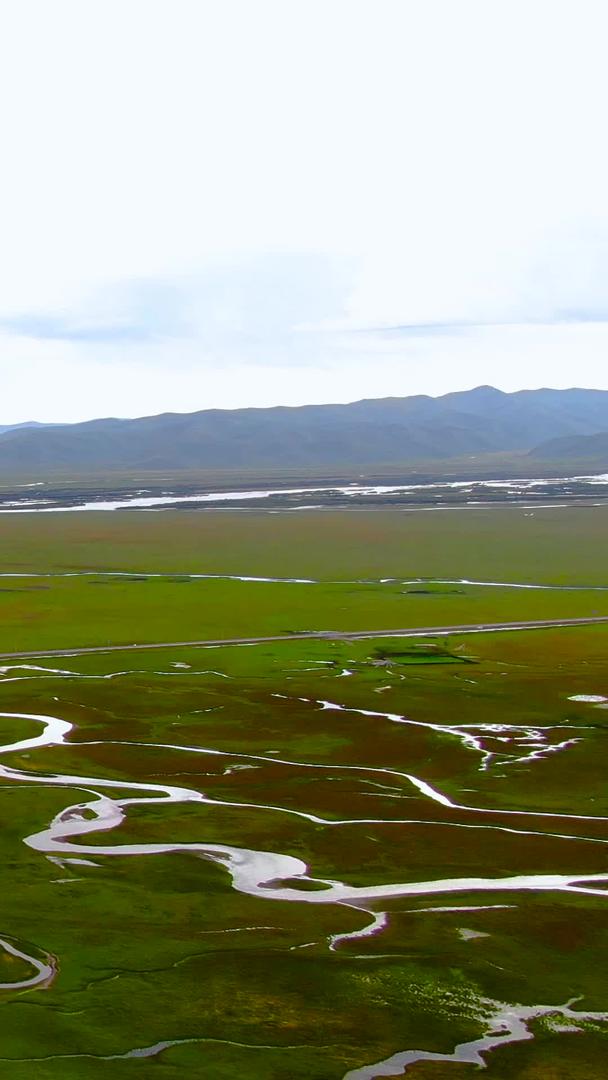 甘南藏族自治州阿万仓湿地公园景区视频视频的预览图