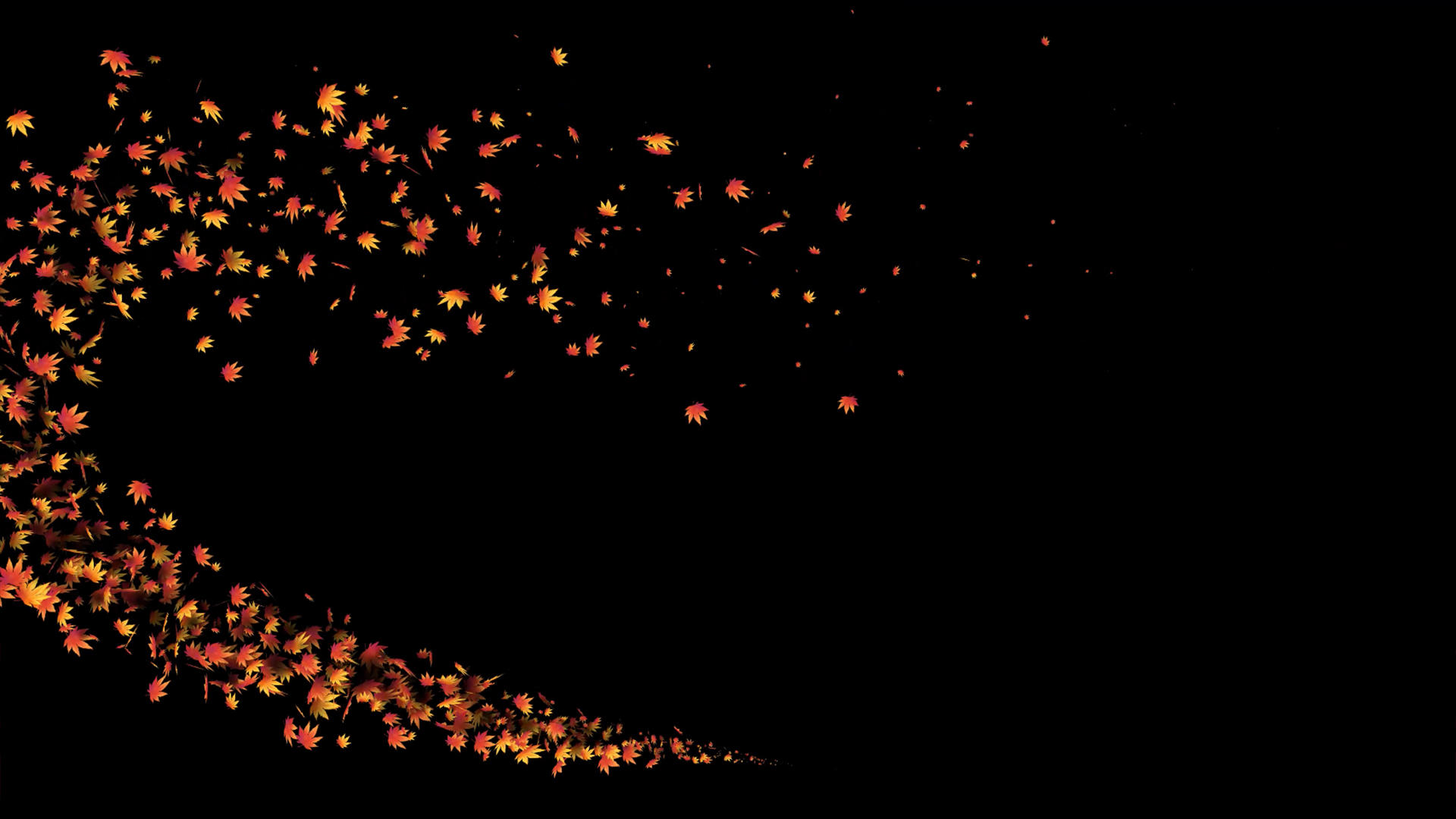 4k粒子枫叶转场动画元素带通道视频的预览图
