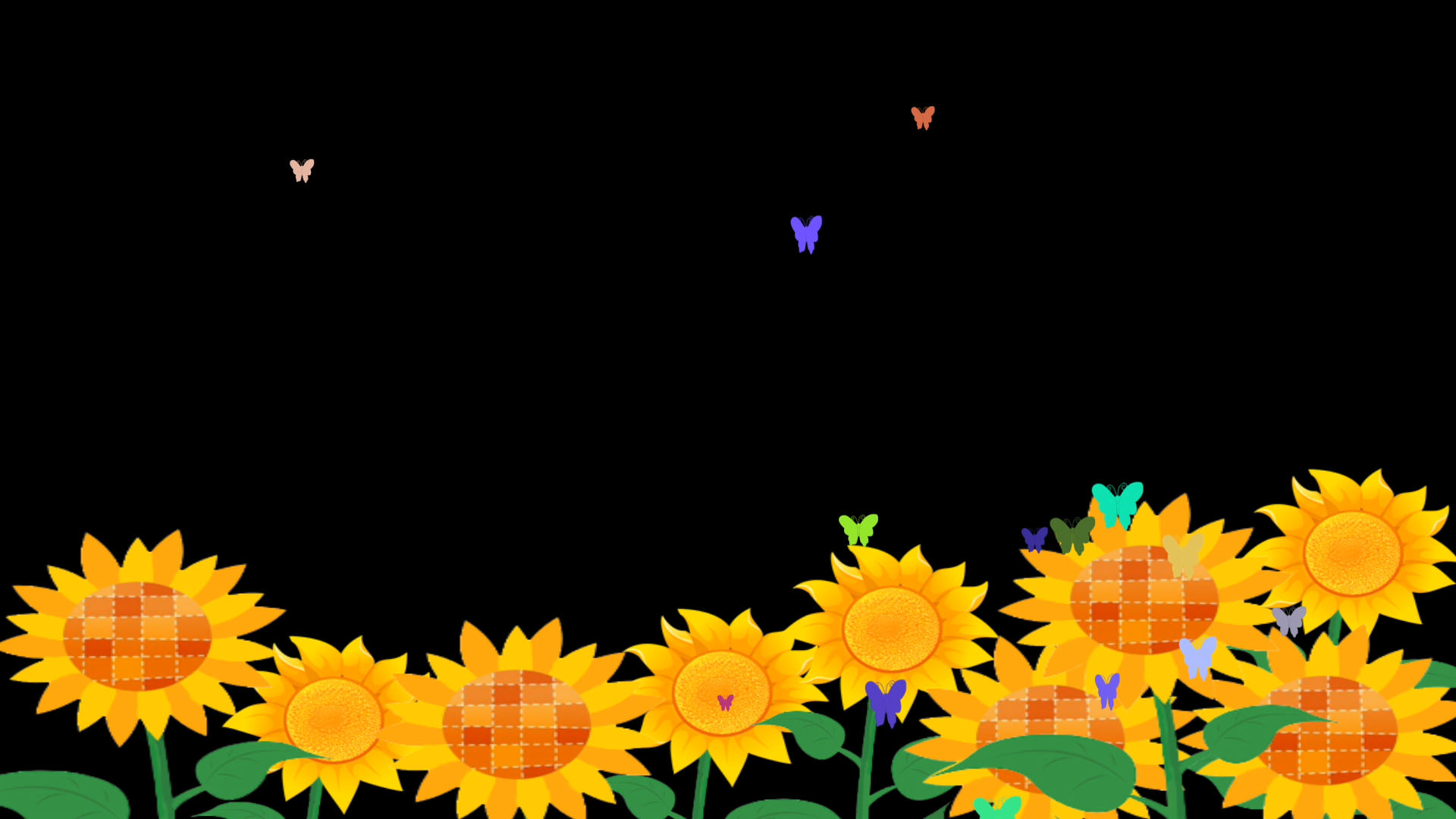 带通道蝴蝶向日葵视频的预览图