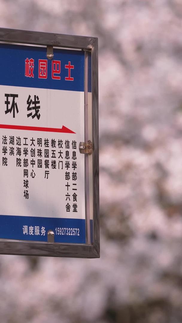 城市旅游樱花季武汉大学内bus车站材料视频的预览图