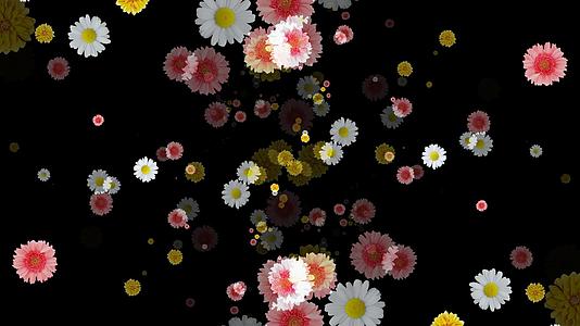 唯美花朵花瓣转场合成视频视频的预览图