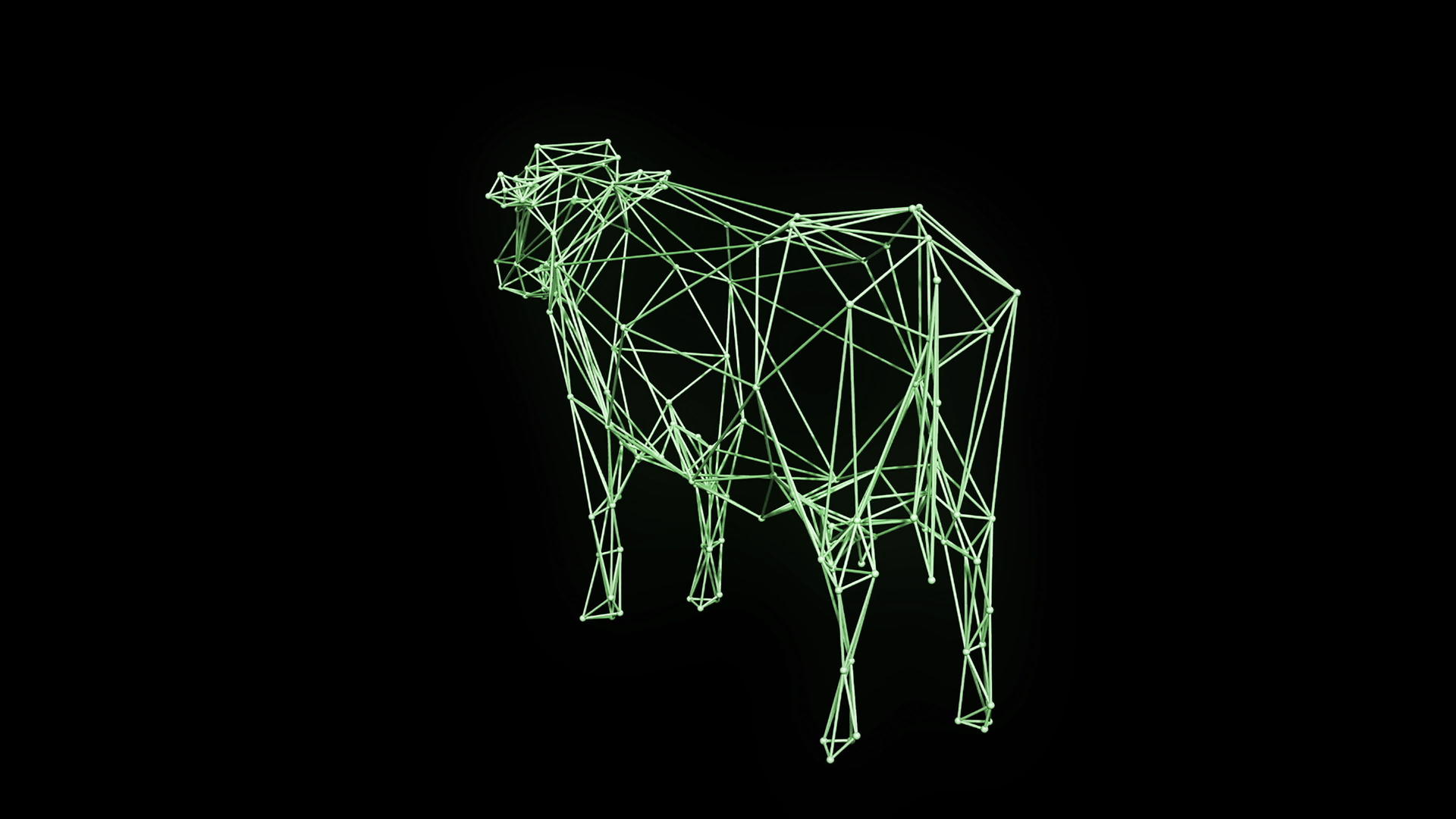 3d奶牛框架模型视频的预览图