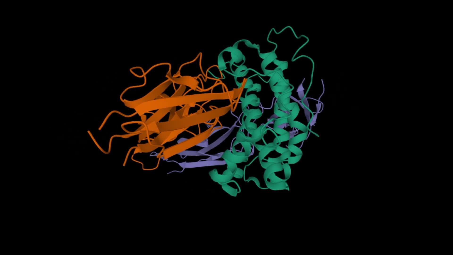复杂的人类生长结构激素及其受体外细胞领域视频的预览图
