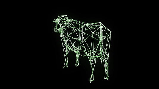 3d线性全息奶牛动物框架模型模型视频的预览图