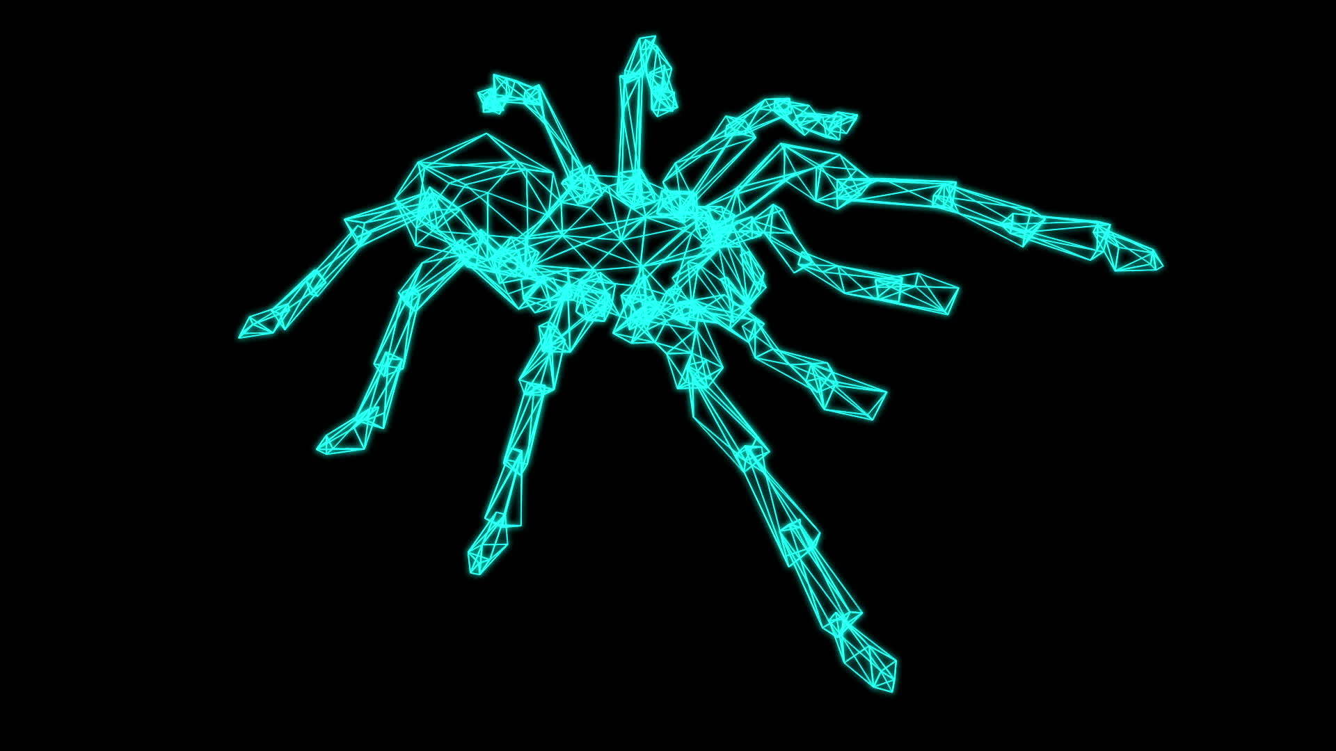 蜘蛛的框架模型3D视频的预览图