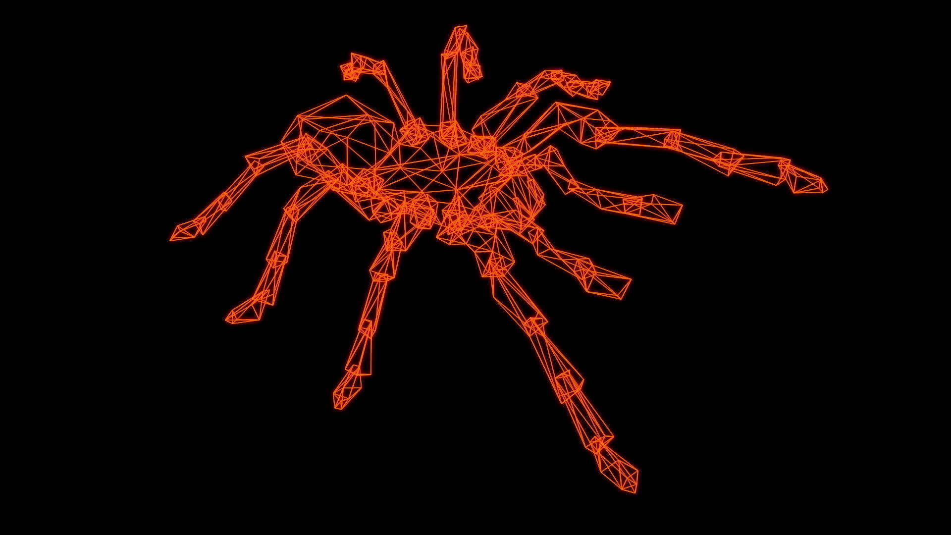 蜘蛛的电线框架模型视频的预览图