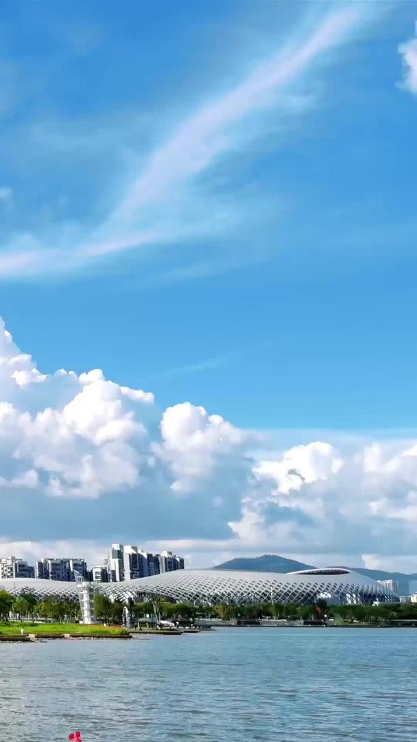 深圳市南山CBD城市人才公园风景视频的预览图