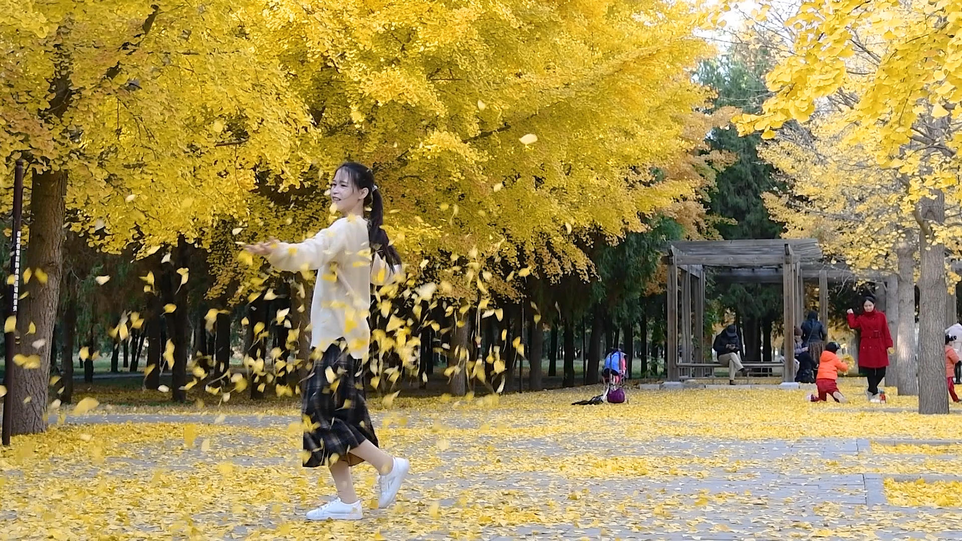 1080升格秋天银杏树下的少女视频的预览图