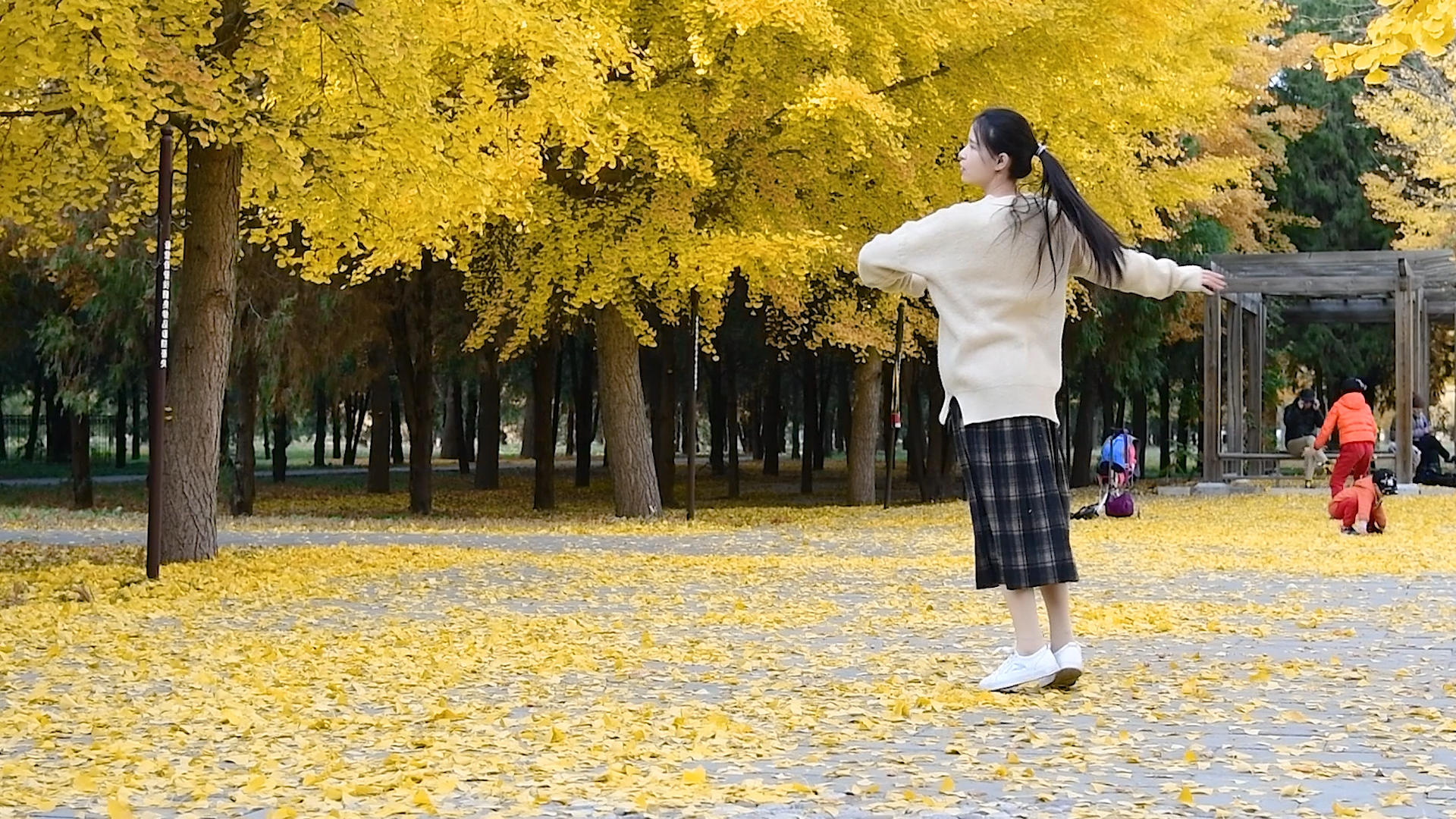 1080升格秋天银杏树下的少女视频的预览图