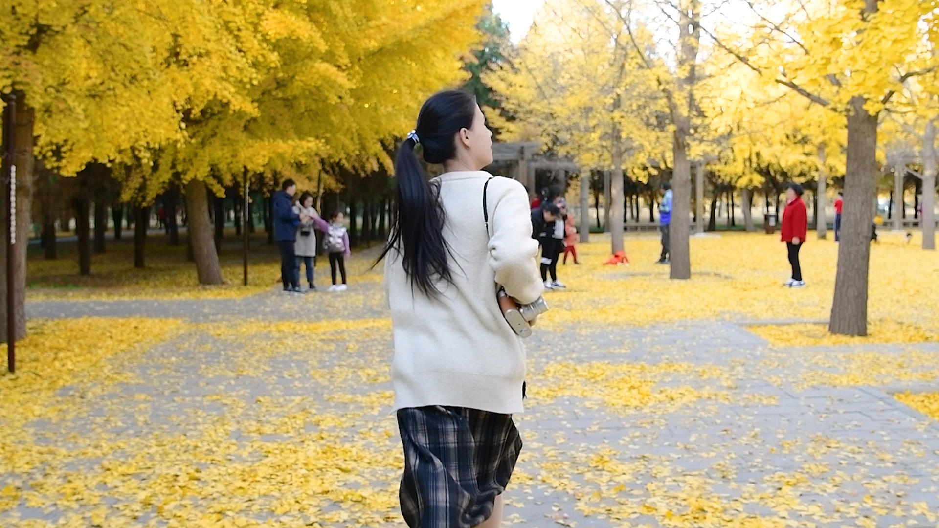 1080升格秋天银杏树下的少女视频的预览图