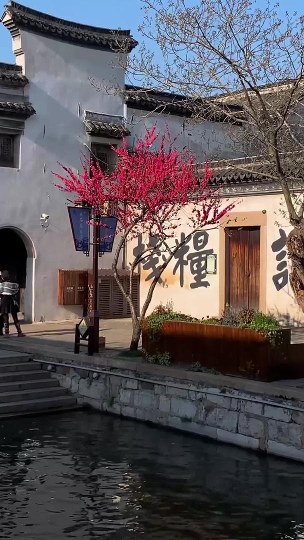 江苏湖州南浔古镇实拍5A景点视频集合视频的预览图
