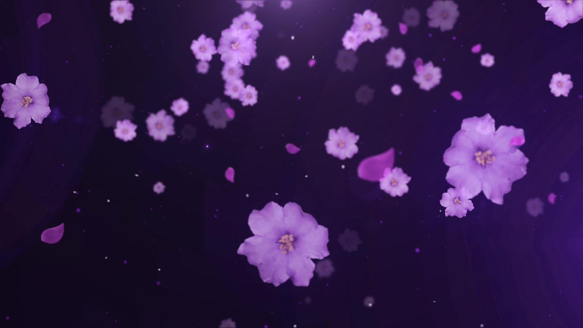 唯美花瓣花朵飘落背景视频的预览图