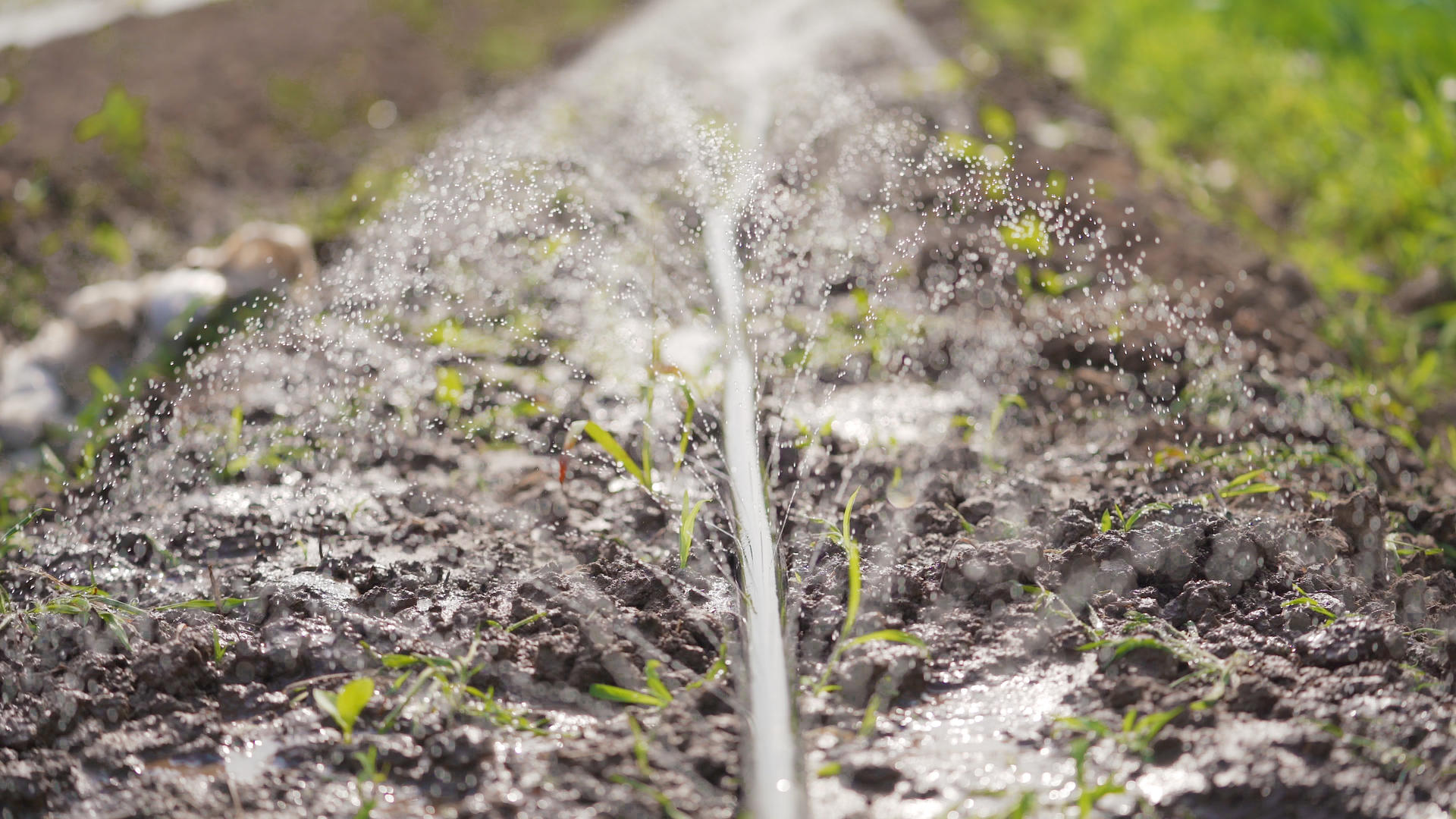 4k科学种植自动化灌溉视频的预览图