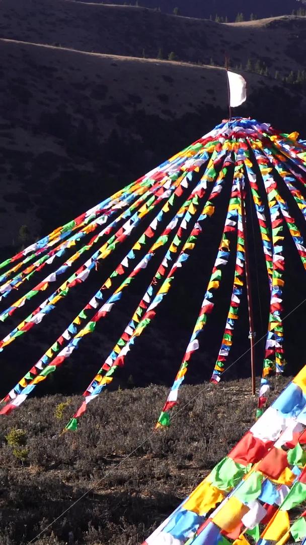 金帆川西藏文化习俗随风飘扬视频的预览图