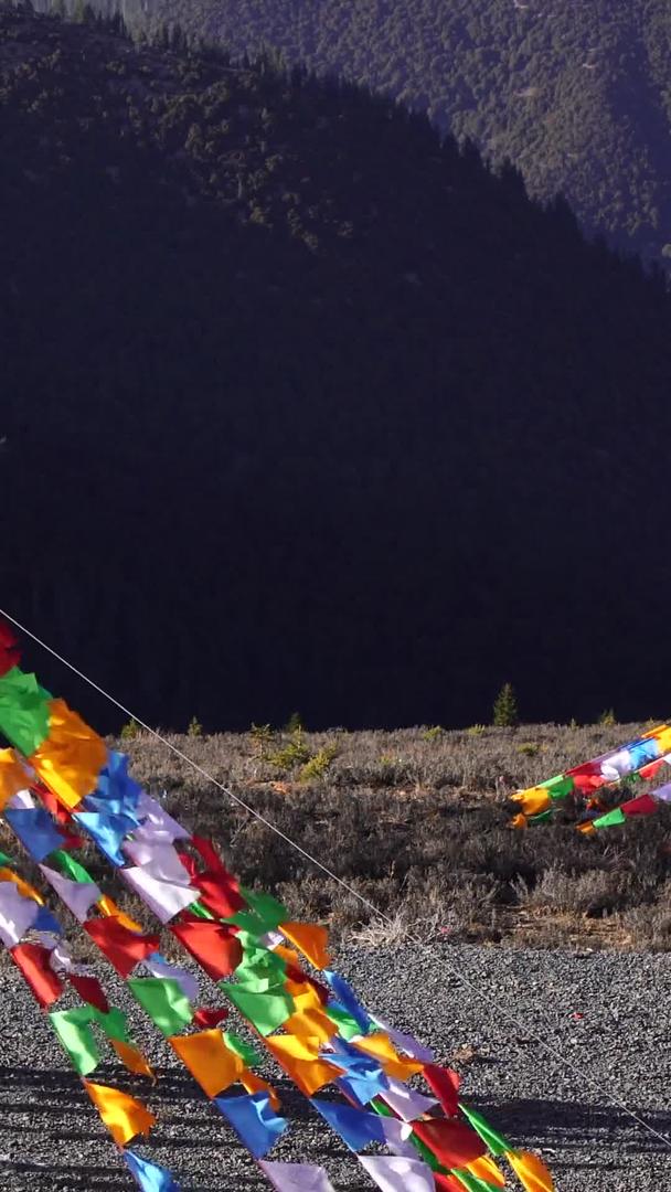 金帆川西藏文化习俗随风飘扬视频的预览图
