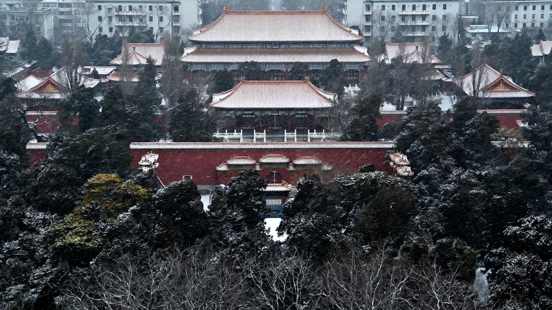 北京寿皇殿公园下雪视频的预览图