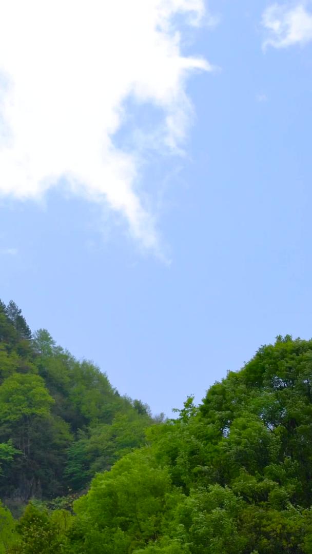 延时集合神农架5A景区森林山峰视频的预览图