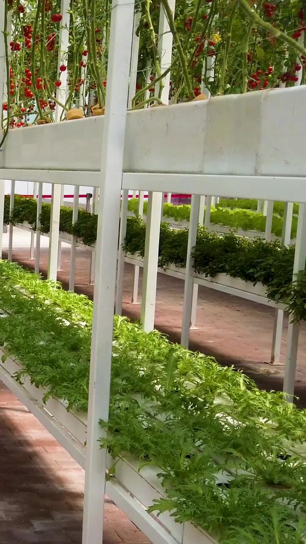 拍摄智慧农业大棚种植视频的预览图