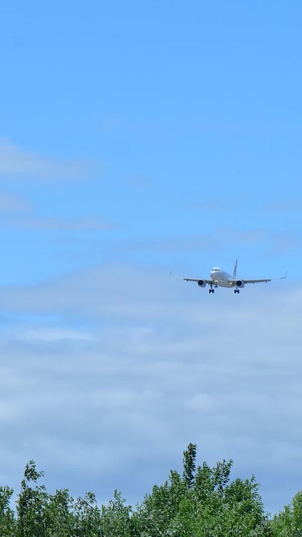 降落的飞机视频的预览图
