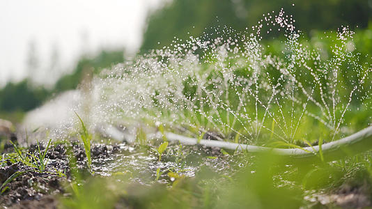 4k农业灌溉自动喷淋浇水视频的预览图