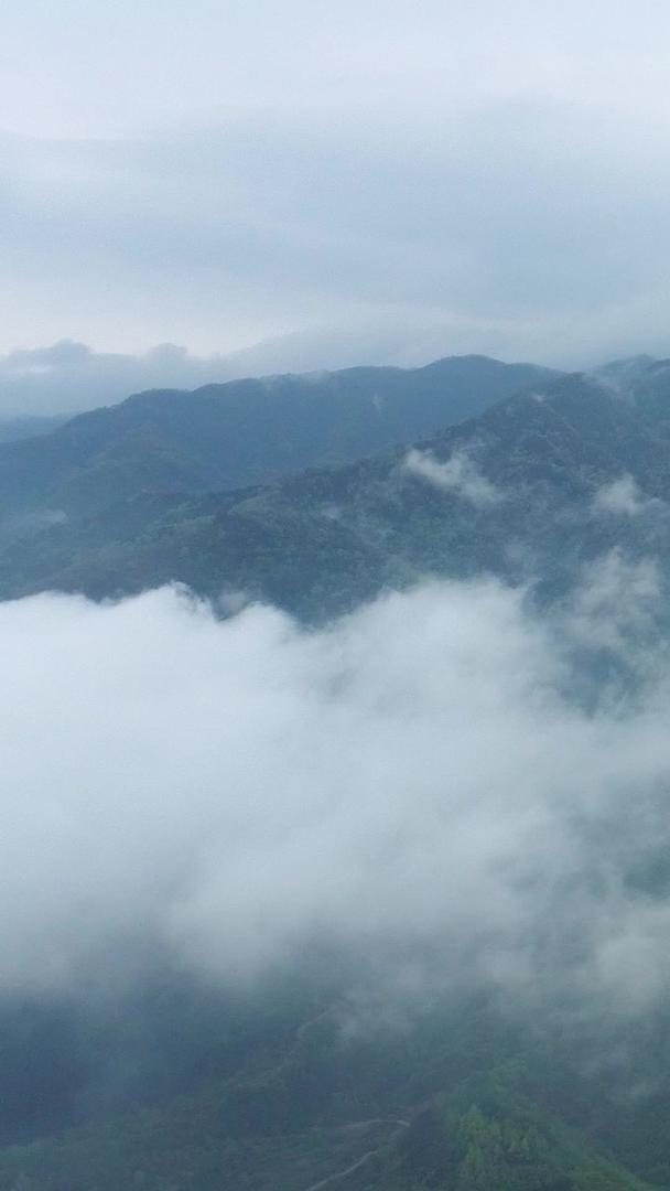 商洛北阳山雨后云海航拍视频的预览图