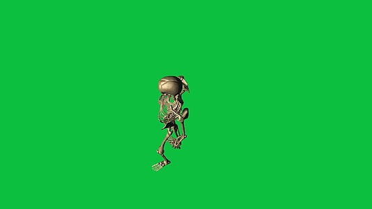3D绿幕骷髅视频的预览图