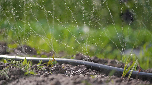 水管浇水农业灌溉自动喷淋慢动作视频视频的预览图