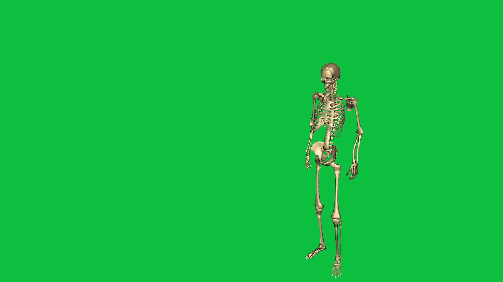 3D人质骨架被射杀的动画在绿屏上分开视频的预览图