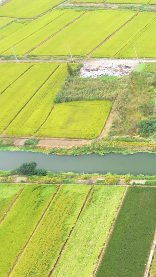 【农业宣传片】江苏航拍鱼米之乡合集视频的预览图