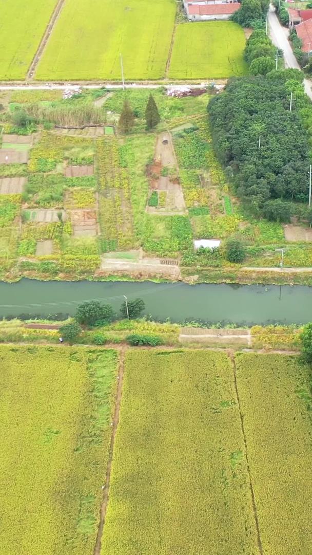 【农业宣传片】江苏航拍鱼米之乡合集视频的预览图