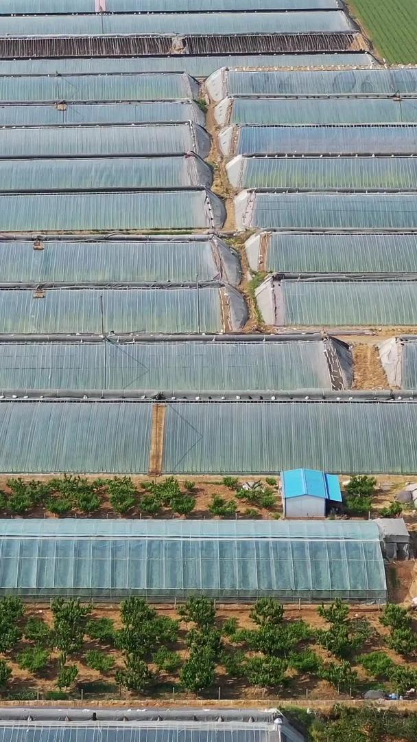 山东省寿光农村风光蔬菜种植航拍视频视频的预览图