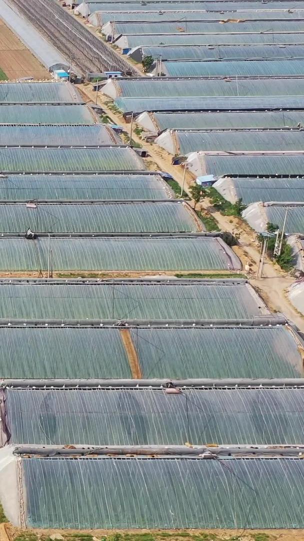 山东省寿光农村风光蔬菜种植航拍视频视频的预览图
