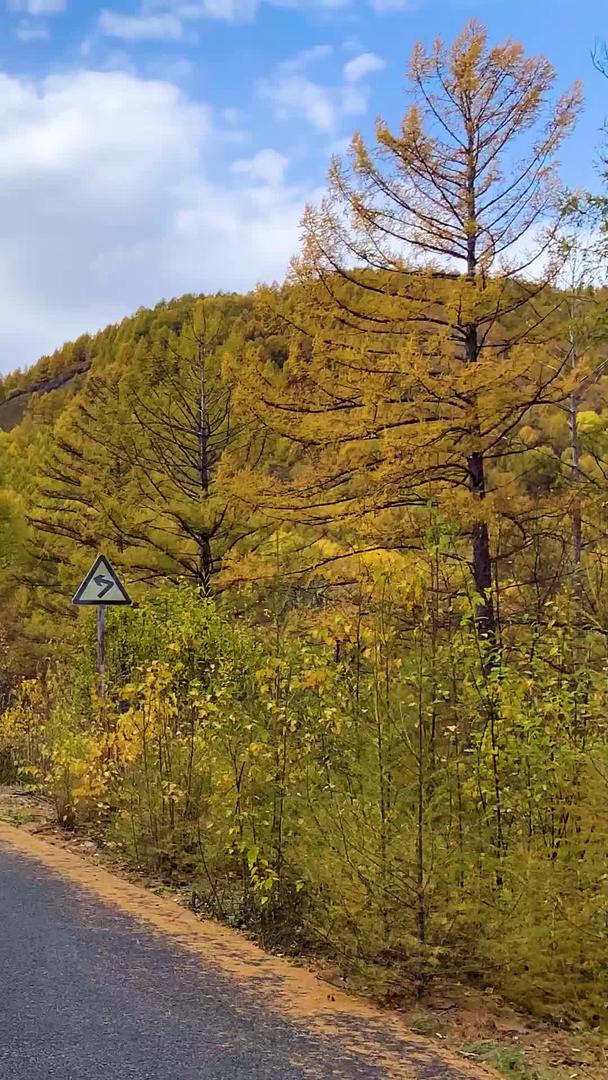 秋高气爽的内蒙古公路秋景实拍视频视频的预览图