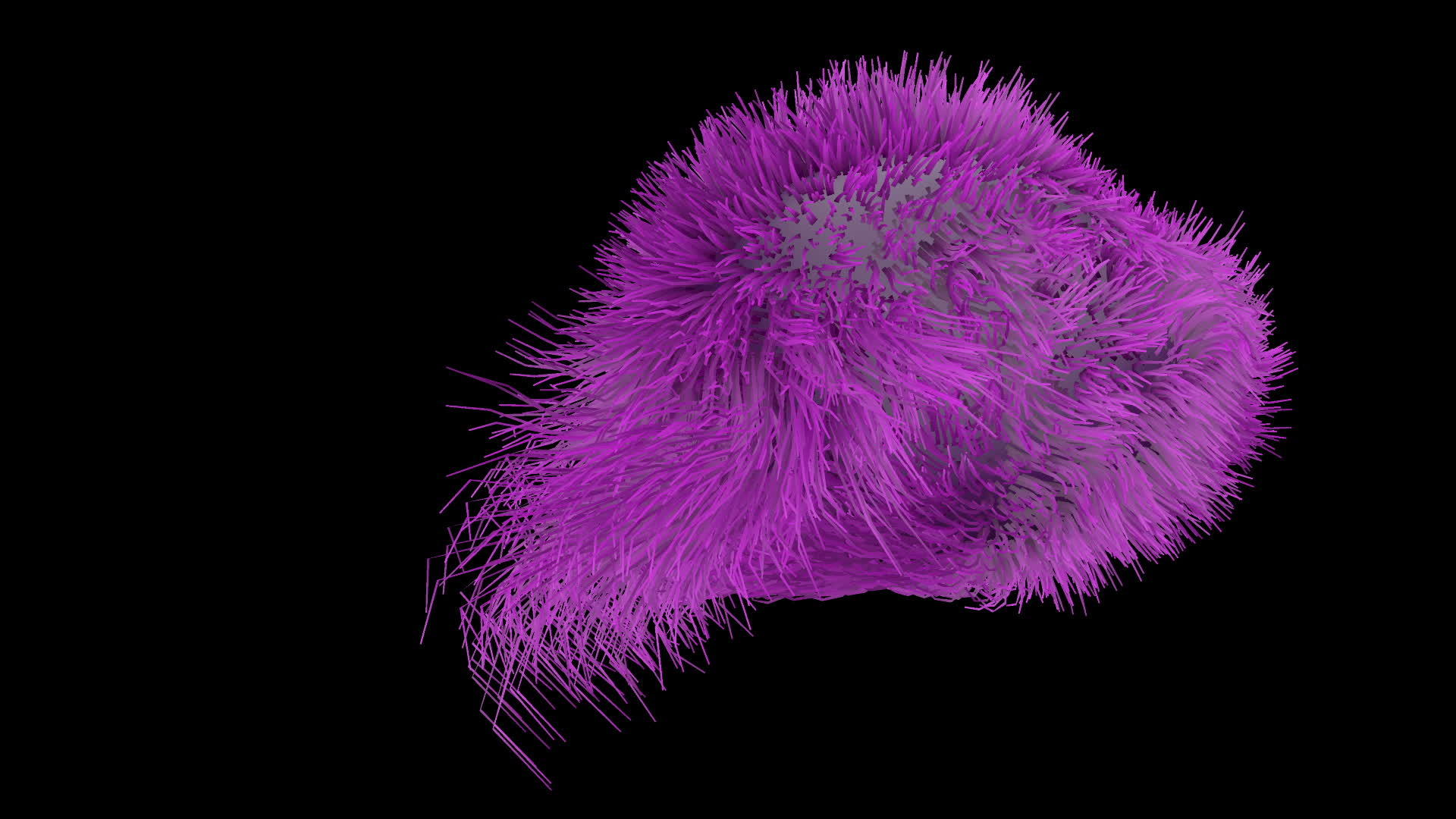 细菌科学3d视频的预览图