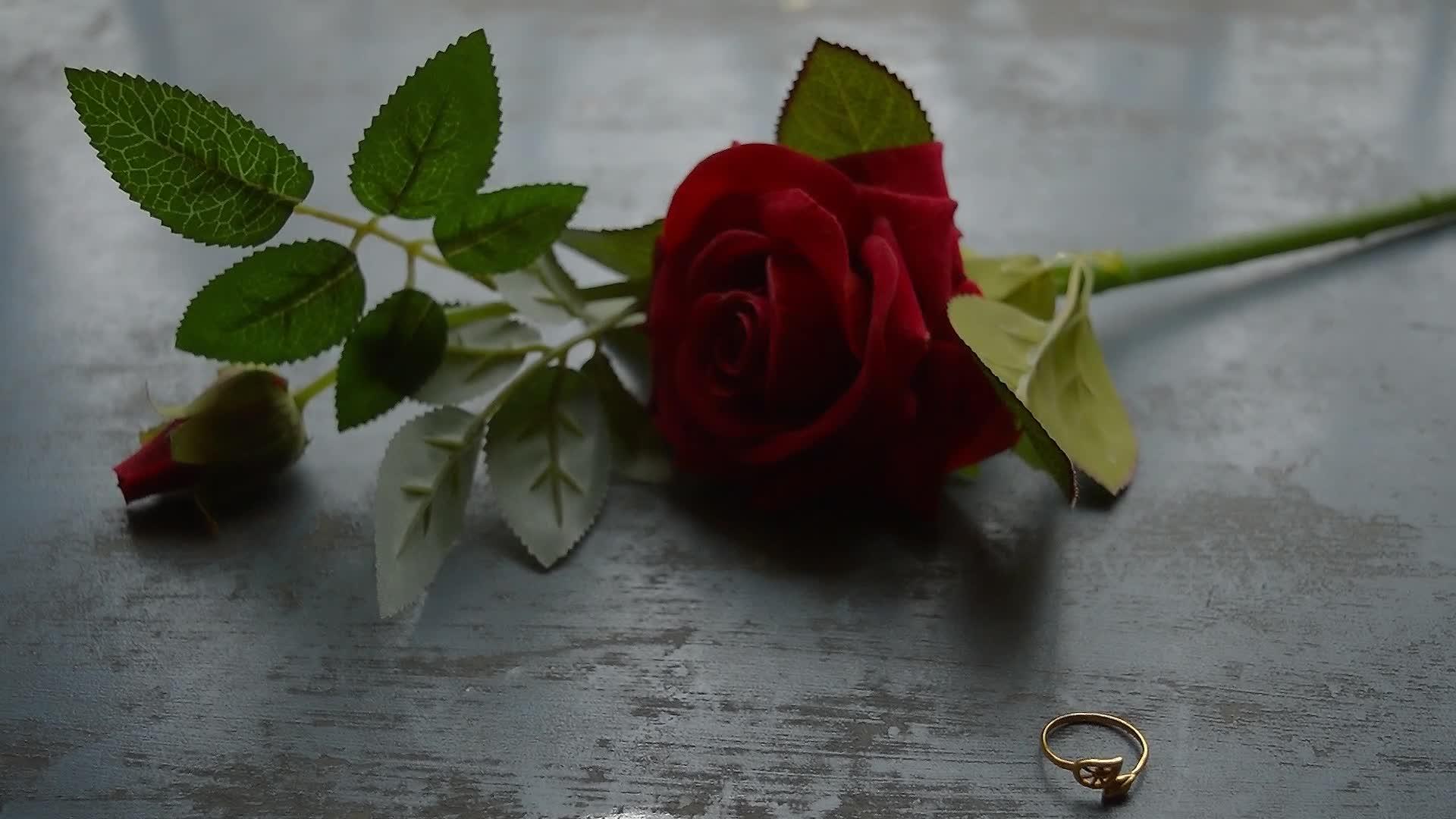 关闭简单的金属地板上的金色订婚戒指首饰柔软的焦点浪漫的红色视频的预览图