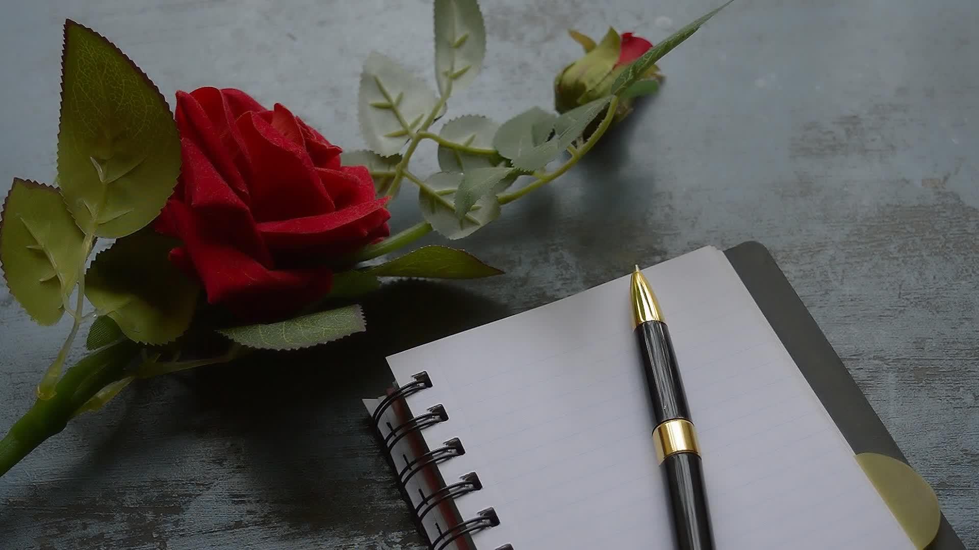 简单的金属地板背景下空白的笔记本笔和一朵美丽的红玫瑰视频的预览图