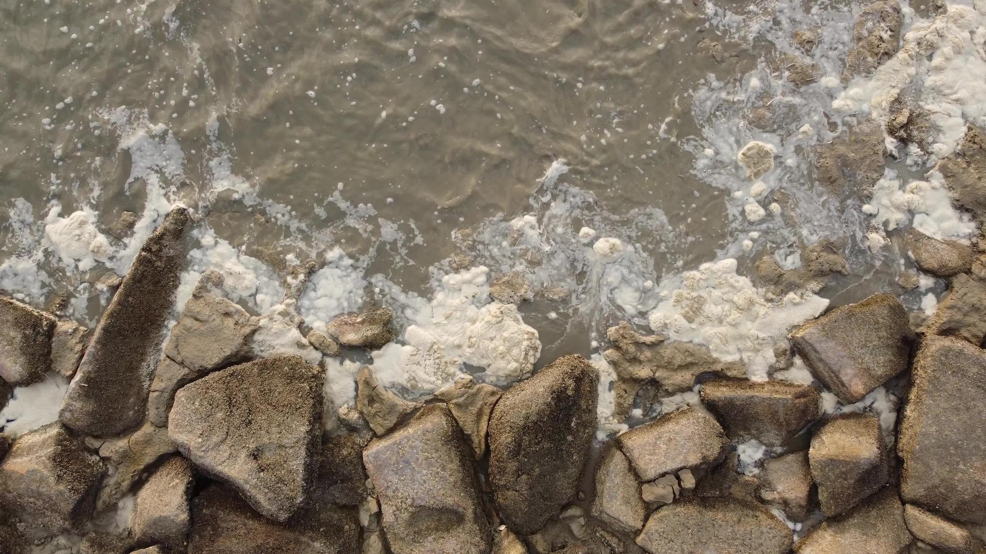 沿海水污染问题视频的预览图