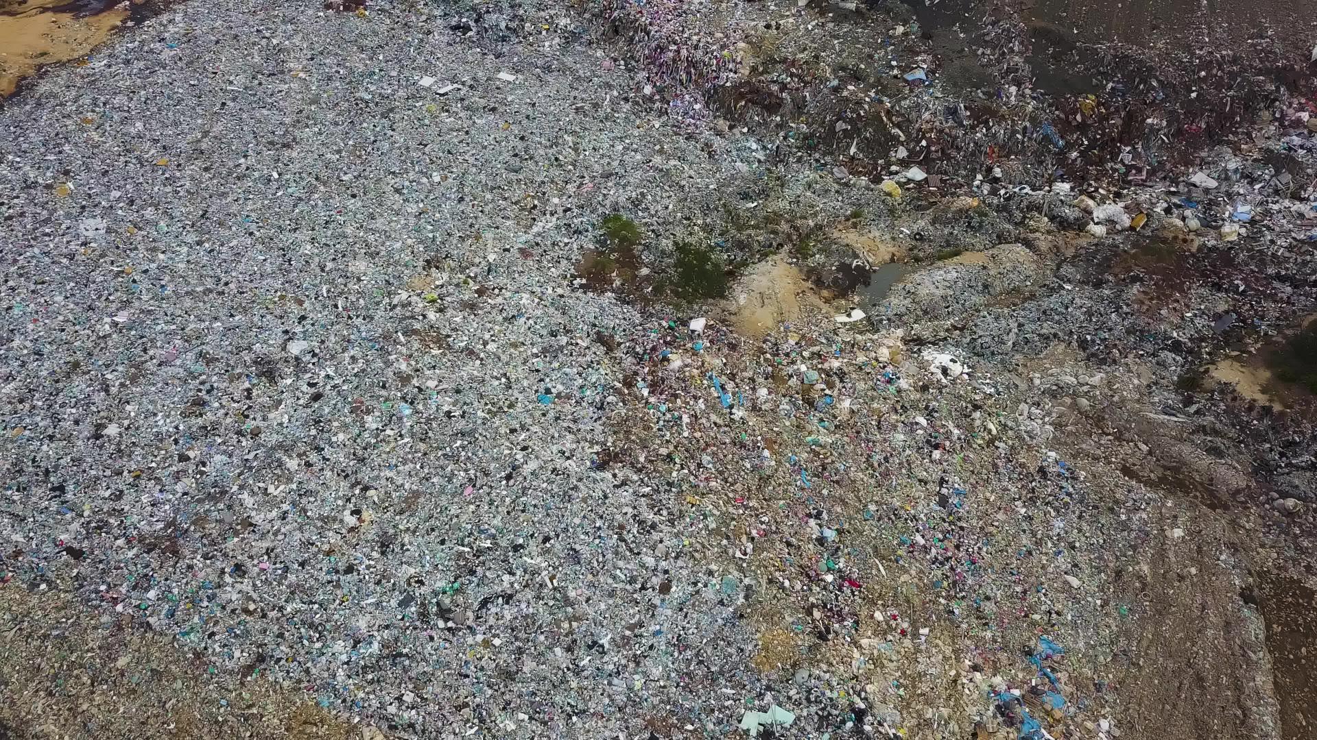 食人鸟飞过垃圾场视频的预览图