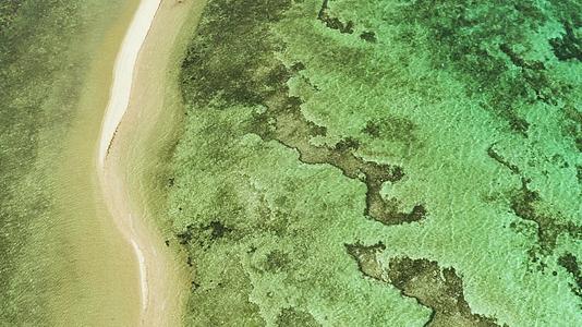 热带岛屿海滩菲利平巴勒万平视频的预览图